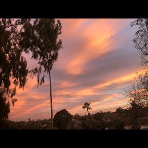 Meet your Posher, Malibu